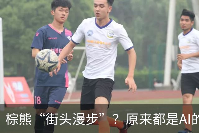 棕熊“街头漫步”？原来都是AI的捣乱！